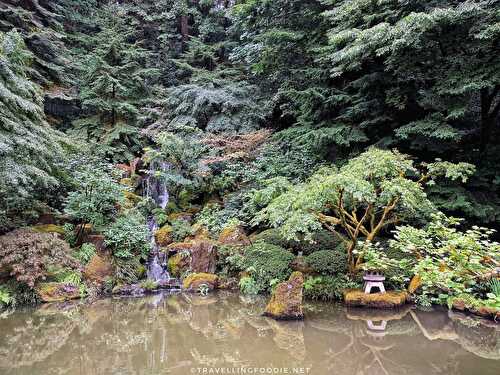 3 Best Gardens in Portland, Oregon - Must-See Portland Gardens