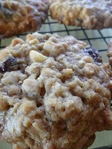 Oatmeal Berry Nut Cookies