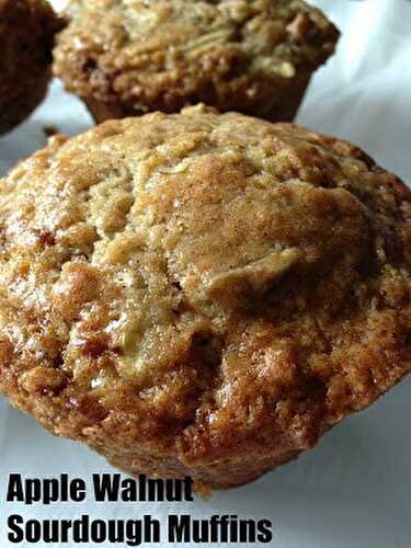 Apple Walnut Sourdough Muffins