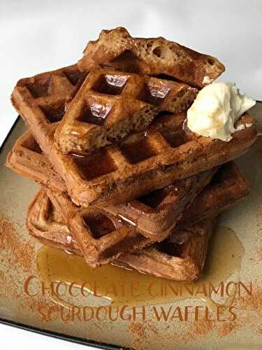 Chocolate Cinnamon Sourdough Waffles