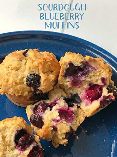 Sourdough Blueberry Muffins