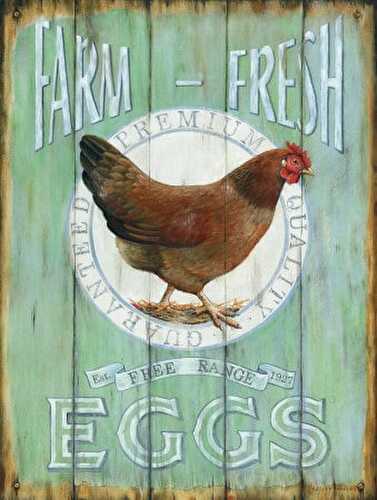 Farm Fresh Eggs vs Store Eggs