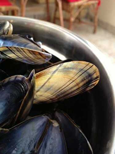 How to Cook Fresh Mussels | How Do You Cook Live Mussels