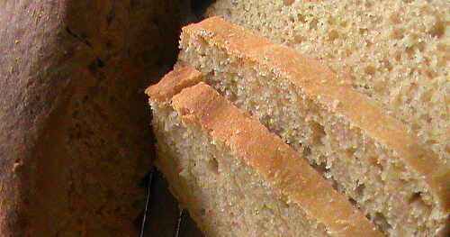 Basic Whole Wheat Bread 