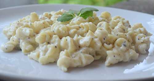 Pasta in white sauce 