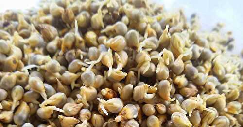 Sprouted Pearl Millet Idli / முளை கட்டிய கம்பு இட்லி