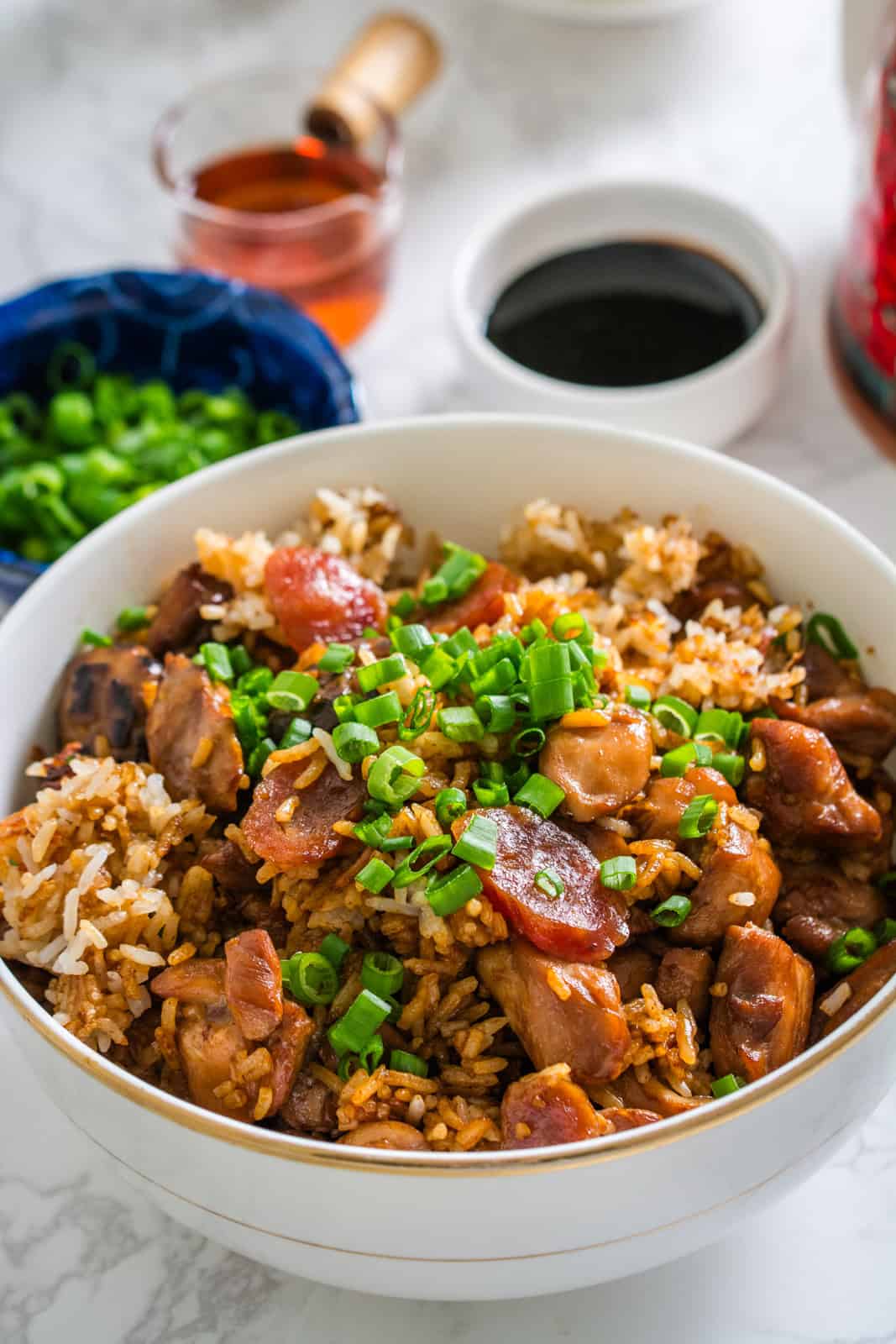 Rice Cooker Claypot Chicken Rice