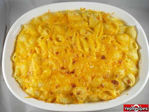 Super Creamy Baked Shells and Cheese