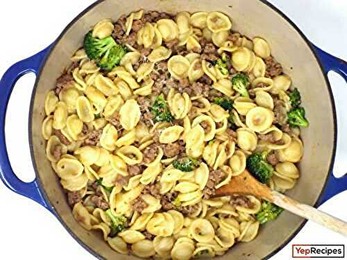 Orecchiette with Homemade Sausage and Fresh Broccoli