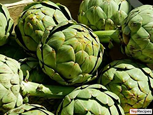 Canned, Jarred, Frozen, or Fresh Artichokes: Which is Best?