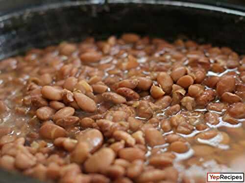 Pinto Beans: From Field to Plate