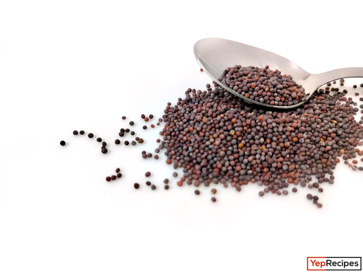 The Secret Behind Dijon Mustard and Some In a Pinch Substitutes