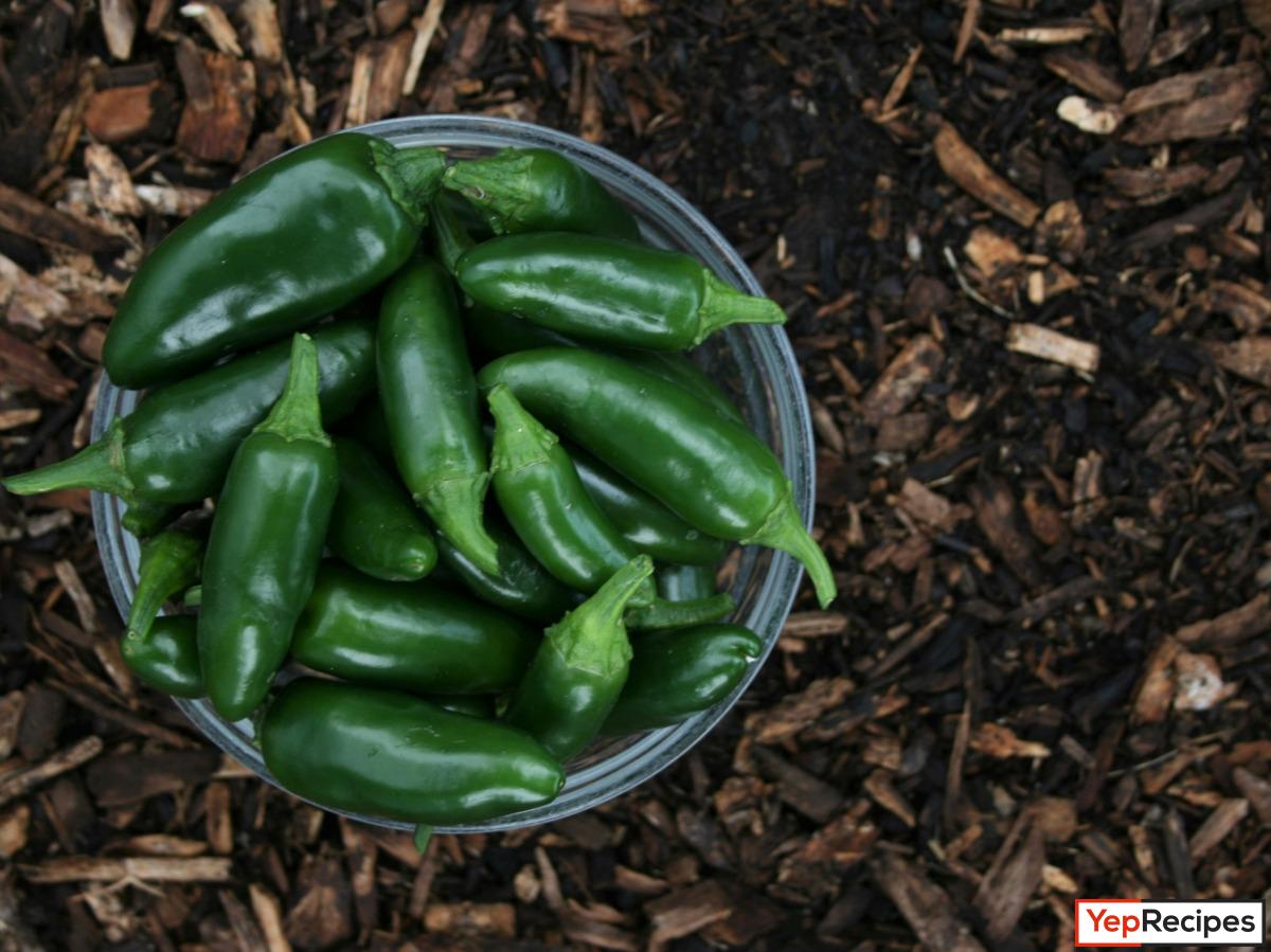 A Look at the Jalapeno and 5 Different Types