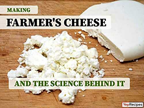 Making Farmer's Cheese at Home and the Science Behind It