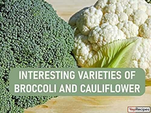 The Vibrant and Colorful World of Cauliflower and Broccoli Varities