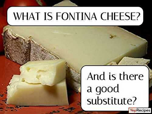 What is Fontina Cheese and Is There a Good Substitute?