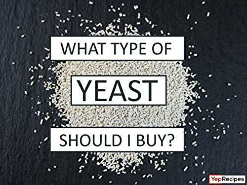 What Kind Of Yeast Should I Buy?