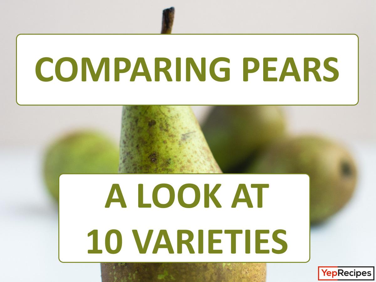 Comparing Pears: A Guide to 10 Pear Varieties