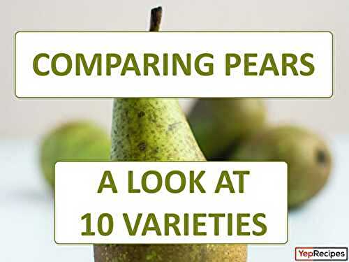 Comparing Pears: A Guide to 10 Pear Varieties