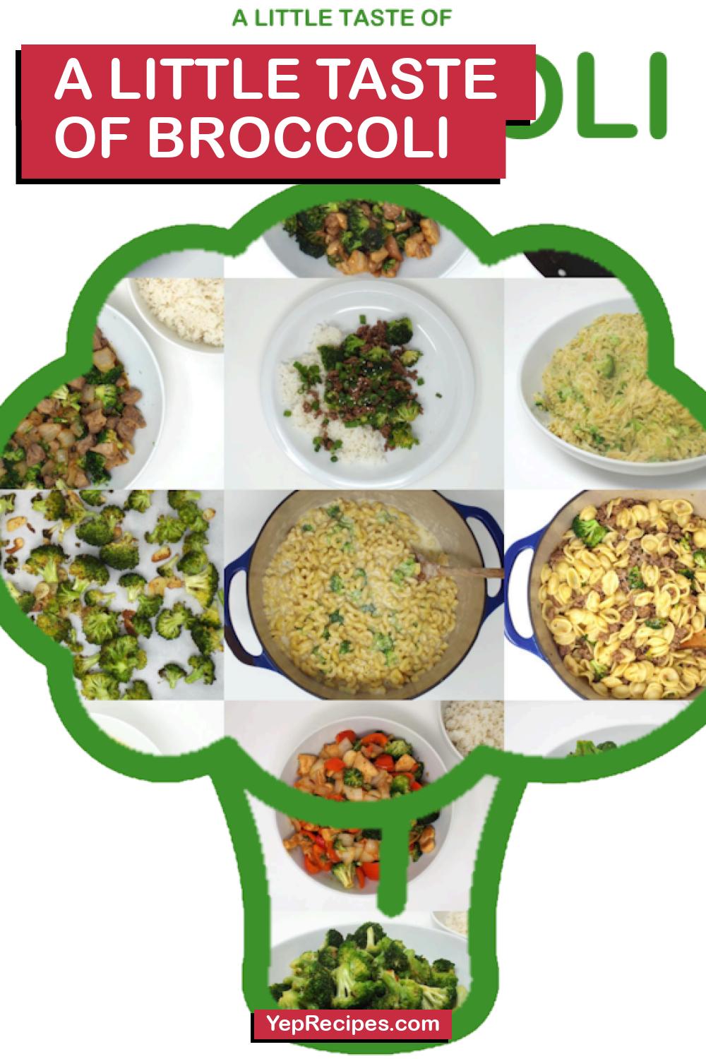 A Little Taste of Broccoli