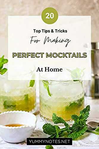 Top 20 Tips & Tricks for Making Perfect Mocktails