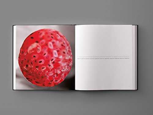 Akelare: New Basque Cuisine