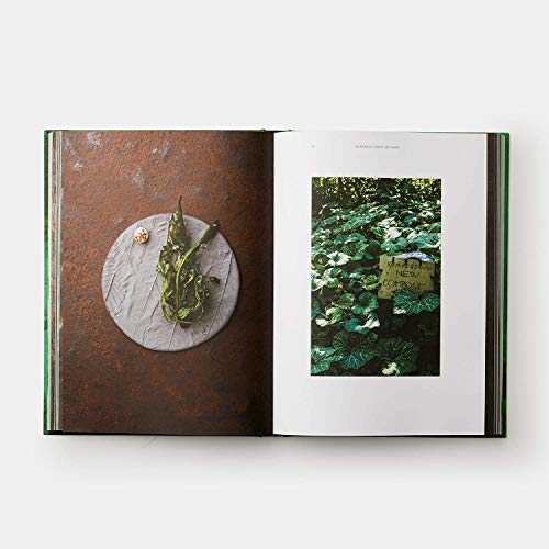 Ana ros, Sun and Rain