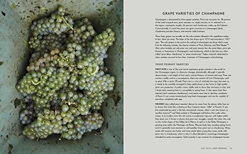 Champagne: The essential guide to the wines, producers, and terroirs of the iconic region