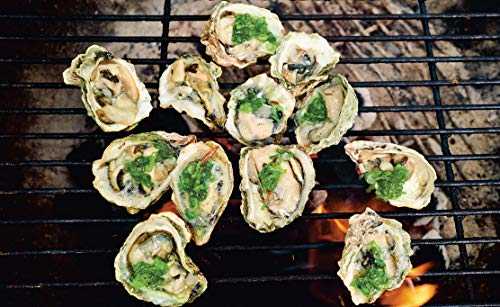 Flavors of the Southeast Asian Grill: Classic Recipes for Seafood and Meats Cooked over Charcoal [A Cookbook]