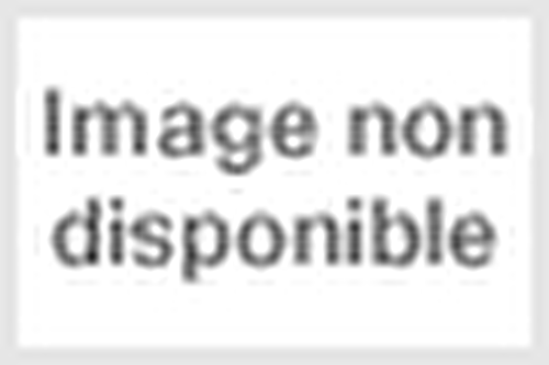 Flower Porn: Recipes for Modern Bouquets, Tablescapes and Displays