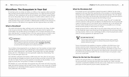 Healthy Gut Diet: Understand the Link Between Gut Health and Your Overall Well-Being