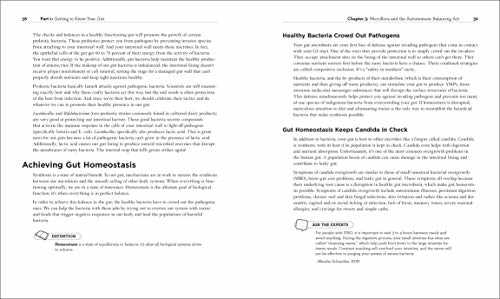 Healthy Gut Diet: Understand the Link Between Gut Health and Your Overall Well-Being