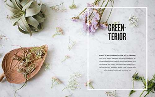 Insta Interior: Einfach, schnell & kreativ einrichten - Mit Tipps, DIYs & House Hacks und Hometours