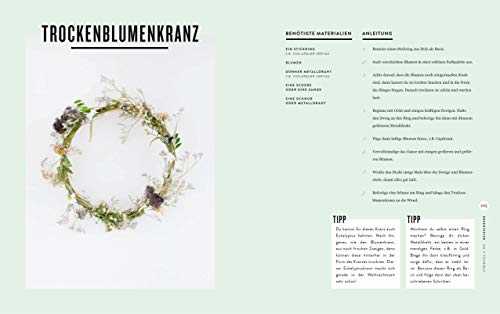 Insta Interior: Einfach, schnell & kreativ einrichten - Mit Tipps, DIYs & House Hacks und Hometours