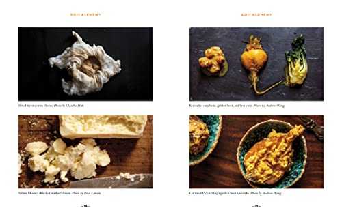 Koji Alchemy: Rediscovering the Magic of Mold-Based Fermentation