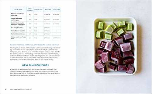 Make-Ahead Baby Food Cookbook: Meal Plans and Recipes for Every Stage