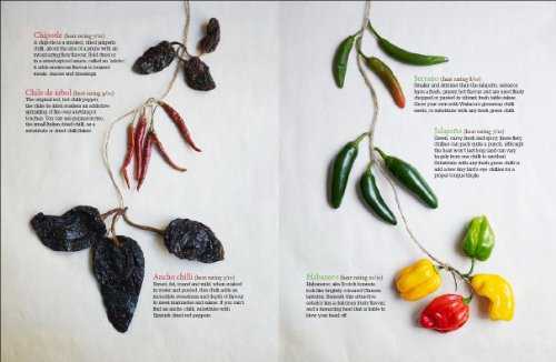 Mexican Food Made Simple