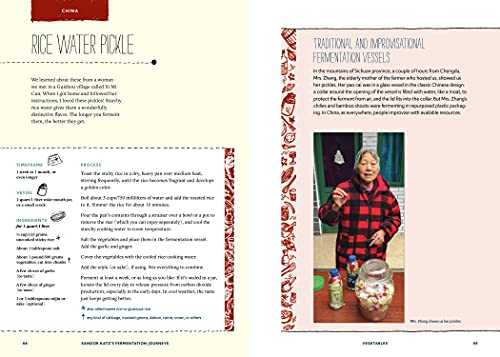 Sandor Katz's Fermentation Journeys: Recipes, Techniques, and Traditions from Around the World