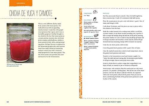 Sandor Katz's Fermentation Journeys: Recipes, Techniques, and Traditions from Around the World