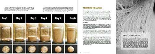 Sourdough Mania: The Complete Guide to Sourdough Baking