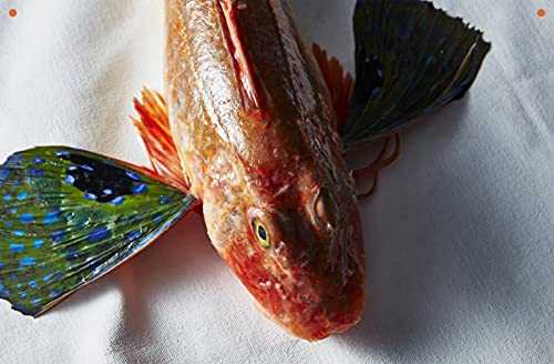 Take One Fish: The New School of Scale-To-Tail Cooking and Eating