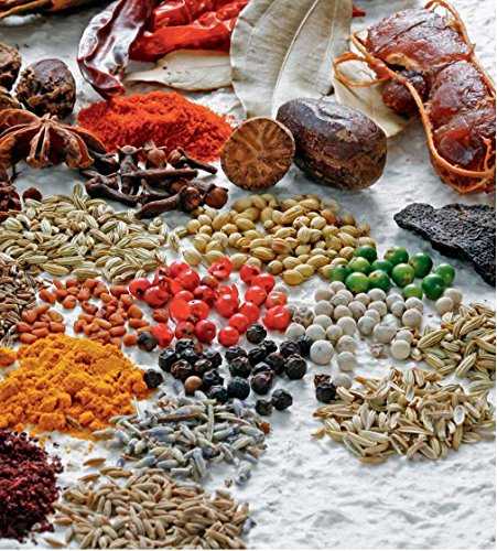 The Asian Barbecue Book: From Teriyaki to Tandoori: 125 Tantalizing Recipes for Your Grill