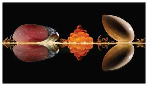 The Fat Duck Cookbook