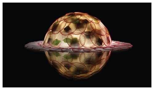 The Fat Duck Cookbook