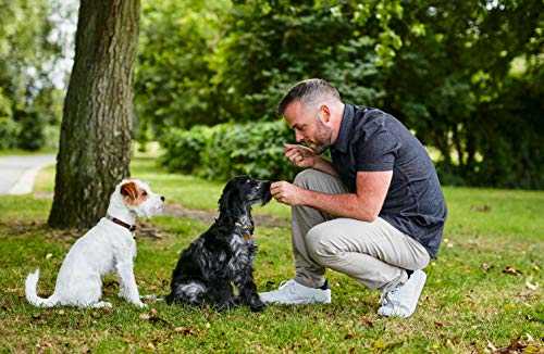 The Happy Dog Cookbook: Biscuits, Burgers, Bites and More: Simple Seasonal Recipes to Bake at Home for Your Dog