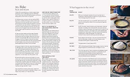 The Sourdough School: The ground-breaking guide to making gut-friendly bread