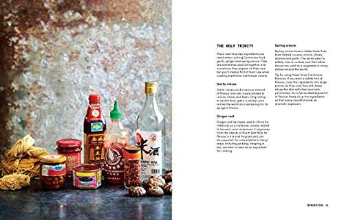 The Veggie Chinese Takeaway Cookbook: Wok, No Meat? Over 70 Vegan and Vegetarian Takeaway Classics