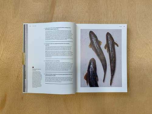 The Whole Fish Cookbook: New Ways to Cook, Eat and Think