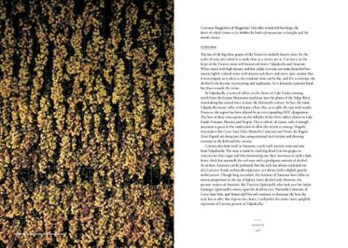 Vino: The Essential Guide to Real Italian Wine