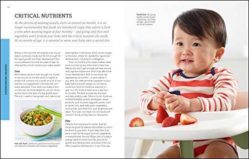 Weaning: New Edition - What to Feed, When to Feed and How to Feed your Baby